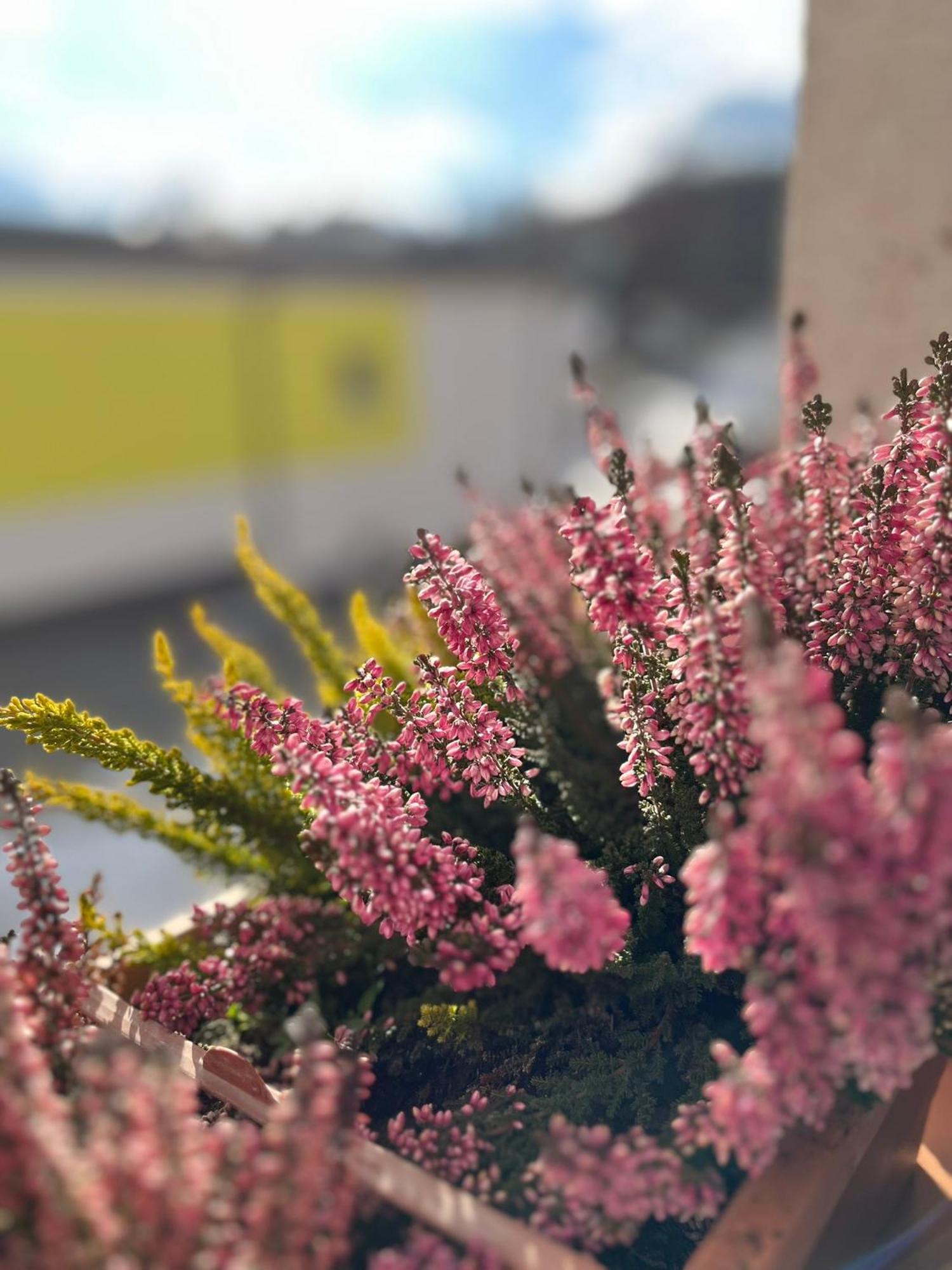 Vila Dravce エクステリア 写真