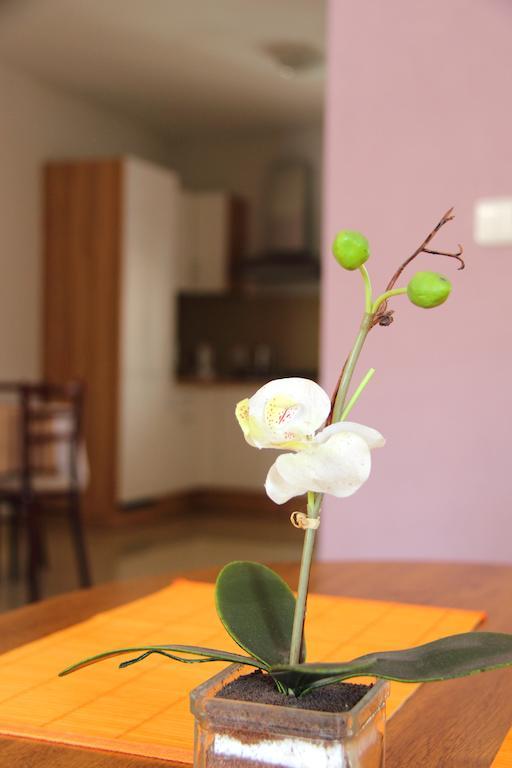 Vila Dravce 部屋 写真