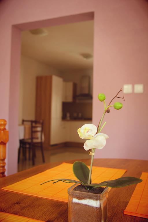 Vila Dravce エクステリア 写真