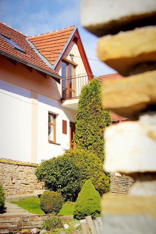 Vila Dravce エクステリア 写真